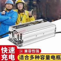 48v20AH60v72v 건전지 배달 충전기, T01-24V 펄스 리페어 쇼트롯드 보호