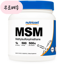 뉴트리코스트 MSM 식이유황 파우더 분말 대용량 500g, 1개