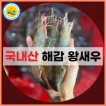 2023년 활 왕새우 1kg 35미내외 해감완료, 2023 활새우1kg 35미 내외, 1개