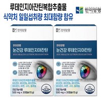 루테인지아잔틴 한미양행 루테인 지아잔틴 황반 눈에좋은영양제 마리골드 60캡슐 2박스