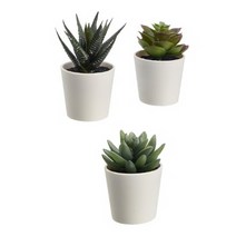 이케아 페이카 인조 다육 식물 화분 6CM 3개 조화식물 인조식물 이케아인조식물