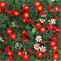 60x40cm 꽃 카페 레드로즈 데코 인조잔디 옥상조경 실내축구장 정원만들기 마당시공