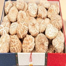 (SM)더해담 다화고 표고세트 1호 강원도 산골 참나무 원목재배, 상세페이지 참조