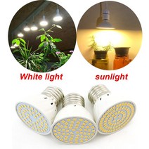 led 식물등 e27 48 60 80leds 램프 온실 피토램프 식물전구 2835 식물배양등 식물배양 조명 전구, 햇빛, 60led 2w