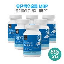 운동이 부족하신 분들 액티브유단백추출물MBP60정X6개 필수아미노산 완두단백분말 락토페인농축물 비타민미네랄믹스 분리유청단백, 본문참고