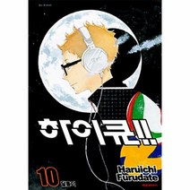 하이큐 10, 상품명