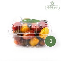 정직한농장 탱글탱글 컬러 대추 방울토마토 토마토[산지직송], 500g, 1개