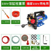 WARM고양 워터펌프 양수기 물펌프 농업용 휴대용 이동식 펌프기, 220V 플런저+10m고압파이프+스프레이건