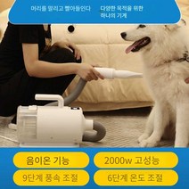 고양이털 청소기 강아지 털빠짐 돌돌이 대형 브러시, 표준 업그레이드 버전송풍 및 흡입 겸용 음이온