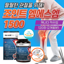 조인트 엠에스엠 1500 플러스 캐나다 무릎 관절 영양제 MSM 연골 팔팔 식약처 인증 약2개월분 mbp 여성 케어 뼈 건강 엔 캡슐 큐 골드 손가락 식약청 50대 70대 프리미엄, 1개
