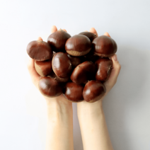 직접 농사지은 공주 맛밤 햇 알밤 칼집밤 국산밤 약단밤 산지직송 군밤 맛탕 조림용, 알밤 특 2kg, 1개