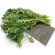 야채왕 쑥갓 1kg