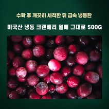 민트팬트리 미국산 냉동 크랜베리 열매 그대로 500G 신선하게 수확 후 급속 냉동