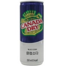 코카콜라 캐나다 드라이 클럽소다, 250ml, 60캔