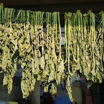 맛집사 유기농 무청 시래기 우거지 무우청 건시래기 건나물 말린 무우시래기 100g 500g, 유기농 시래기 100g