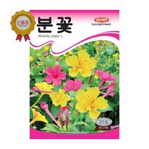 경신종묘 꽃씨앗 분꽃(혼합종) 20립