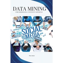 (영문도서) Data mining for modeling content lifespan Paperback, Flynn Jensen, English, 9785915353618