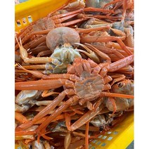[루디번니]홍게 구룡포 자숙 연지홍게 자숙홍게 자숙연지홍게 연지홍게3kg 홍게3kg 박달홍게 홍게대게 홍게제철 홍게택배, 자숙연지홍게박달급 3kg 10-13미