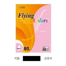 플라잉컬러 패럿(P01~P45)(Q01~Q5) (오피스MALL)플라잉컬러 패럿(P01~P45)(Q01~Q5)(PK1크라프트지)전품목색상판매중 A4*80g*25매*팩*삼원), 1팩, 플라잉컬러 패럿(P38/A4/ 80g/ 검정색/ 25매/팩/삼원)
