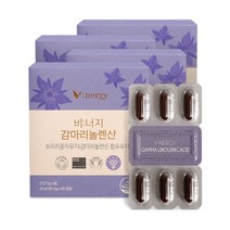 비너지 감마리놀렌산 4박스 보라지꽃 달맞이꽃 종자유