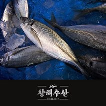 제주어가 [무료배송](각재기)제주어가 명품 전갱이 중, 1box, 5마리