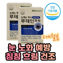 중년 눈흐림 필요 루테인 비타민AE 미네랄 복합영양제 30대 40대 50대 마리골드꽃추출물 LUTEIN 노화원인 황반색소 밀도유지 도움 권장량함유 알약형 시각적응 시야 뻑뻑함 도움