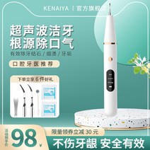 초음파 셀프 치석제거기 가정용 치아 스케일링 치석 제거도구, 단품
