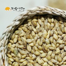 장수양행 황금보리800g 국산 2022년, 1개, 800g