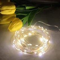 와이어전구 캠핑 인테리어 줄조명 감성파티 LED전구(2m 5m 건전지 포함), 5m 50구 일반형(CR건전지)