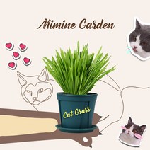 미미네가든 바로먹는 캣그라스 베이직, 단품