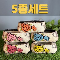 다육맘 수제화분 다육화분 도향#356, 5종세트