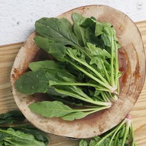[산지직송] 해풍 맞고 자란 남해안 노지 시금치 2kg, 단품