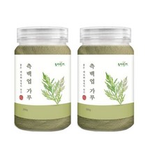 동의한재 국산 측백엽 측백잎 분말 가루 600g (300g x 2통), 단품, 2통, 300g