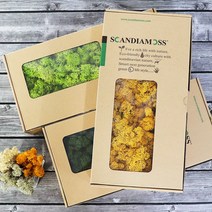 스칸디아모스 500g 천연이끼 천연가습 공기정화, 퍼플