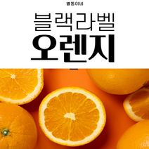 고당도 퓨어스펙 블랙라벨오렌지 썬키스트오렌지 대과, 3.5kg(15과)