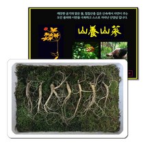 삼바이 산양산삼 7년근 선물세트 산삼 산양삼 장뇌삼 인삼 면역력 기력보강 설날 추석 설선물 설명절 추석선물 추석명절 명절선물, 7년근 7주