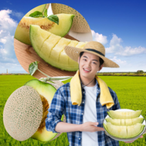 국산 산지직송 멜론 메론 생과 제철 과일 고당도 프리미엄 가정용 선물용 중 대과 특대 셋트 4kg 8kg 1.5키로 2개입 3수 4수 6수, C.메론(4kg내외) 2수