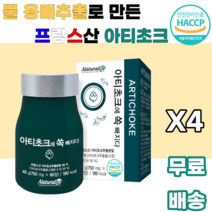 아티초크 추출분말 ARTICHOKE 프랑스산 유기농 물용매추출 귀족채소 진공농축 저온살균 스프레이건조 남녀노소 누구나 먹기편한 여성 여자 학생 대학생 여대생 부모님 꽃봉우리, 4박스, 60정