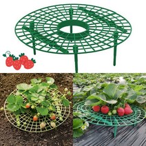 딸기 재배 받침대 원예 주말 농장 트레이 모종 바닥 띄우기 텃밭 키우기 거치대 열매 스탠드, 단품