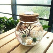 테라리움 화분 LED볼단지 1300ml/마리모 조명 유리병, 단품