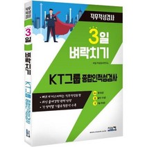 3일 벼락치기 KT그룹종합인적성검사 직무적성검사, 상품명