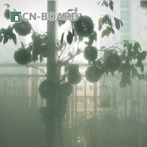 건강-드림_씨엔보드 창문용 시트지 그린 그라데이션 인테리어 용지 유리용지 필름 인테리어지 사생활보호막 유리지 햇빛차단_rjsrkdemf, 옵션선택사항없습니다