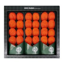 상주 곶감 선물 세트 30입 x 4세트 꽃감 반건조 코스트코, 상세페이지 참조