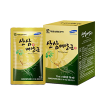 대웅생명과학 산삼배양근 70ml 10포 / 파우치타입, 70ml x 10포