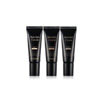 한스킨 블레미쉬 커버 12g -22호라이트, 1개