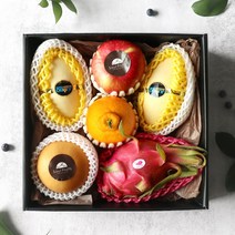 소울프루츠 혼합과일선물세트 1호 2호 3호, 소울프루츠 혼합과일선물세트 1호-B(태국망고)