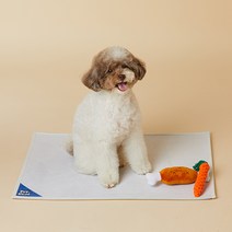 페키움 반려동물 방수 밀림방지 대형 식기 매트 50 x 70 cm, 크림화이트 매트