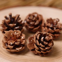 솔방울(중-5개)-백일 돌 촬영소품 스튜디오촬영소품 베이비스튜디오