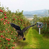 원예 태양열 동물 퇴치기 쥐 초음파 PIR 센서 구동 해충 고양이 개 새 곤충