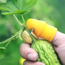엄지 골무칼 골무나이프 야채따기 과일따기 작물따기 고추따기, 5-철선고무골무3개